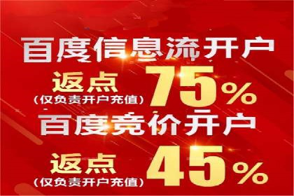 百度推广代运营案例：案例分享：打造行业领军品牌